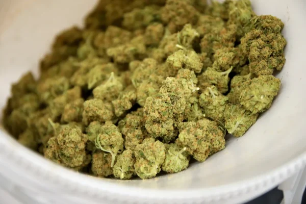 Sweet OG Cheese - Image 5