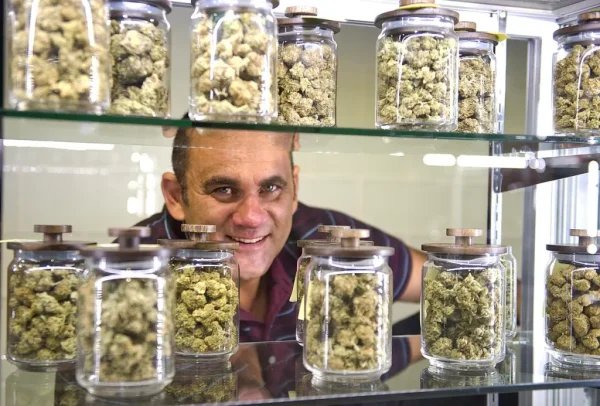 Sweet OG Cheese - Image 4